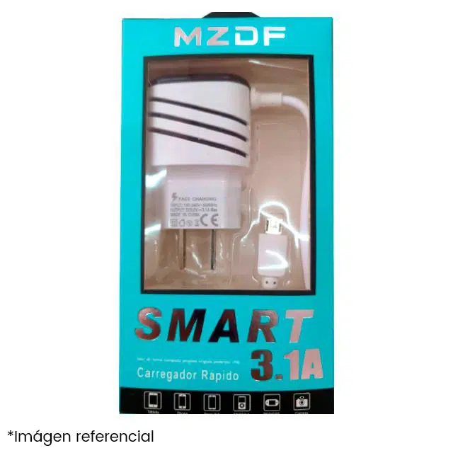 LM21-112 CARGADOR SMART V8