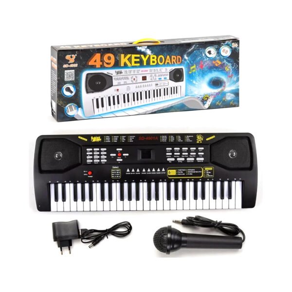 PIANO ELECTRICO SD-4902