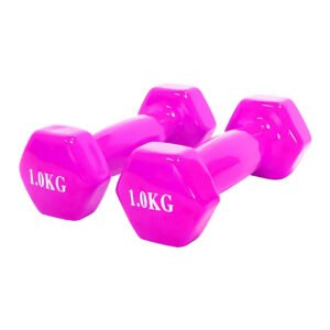 PESA DE VINILO 1KG (PAR)